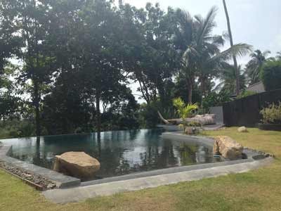 Photo 43 large pool overlooking the greenery and a bar at the feet of the house.